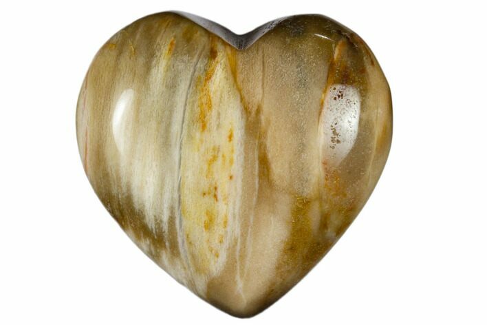 Polished, Triassic Petrified Wood Heart - Madagascar #115509